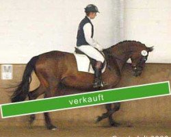 broodmare Grazia (Württemberger, 2006, from Grafenstolz)