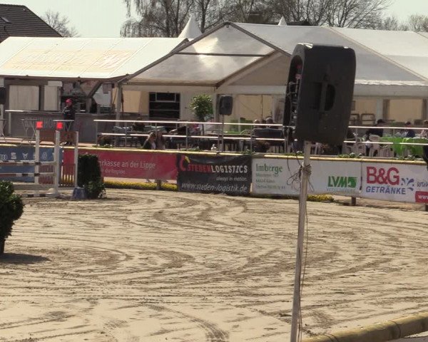 Lenklarer Reitertage 2022 (Werne)
