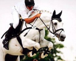 stallion Pino Colado (Hanoverian, 1996, from Picard)