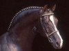 horse Grannus (Hanoverian, 1972, from Graphit)