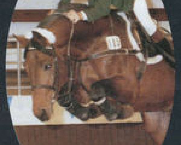 stallion Grand Marnier (Westphalian, 1978, from Gottlob)
