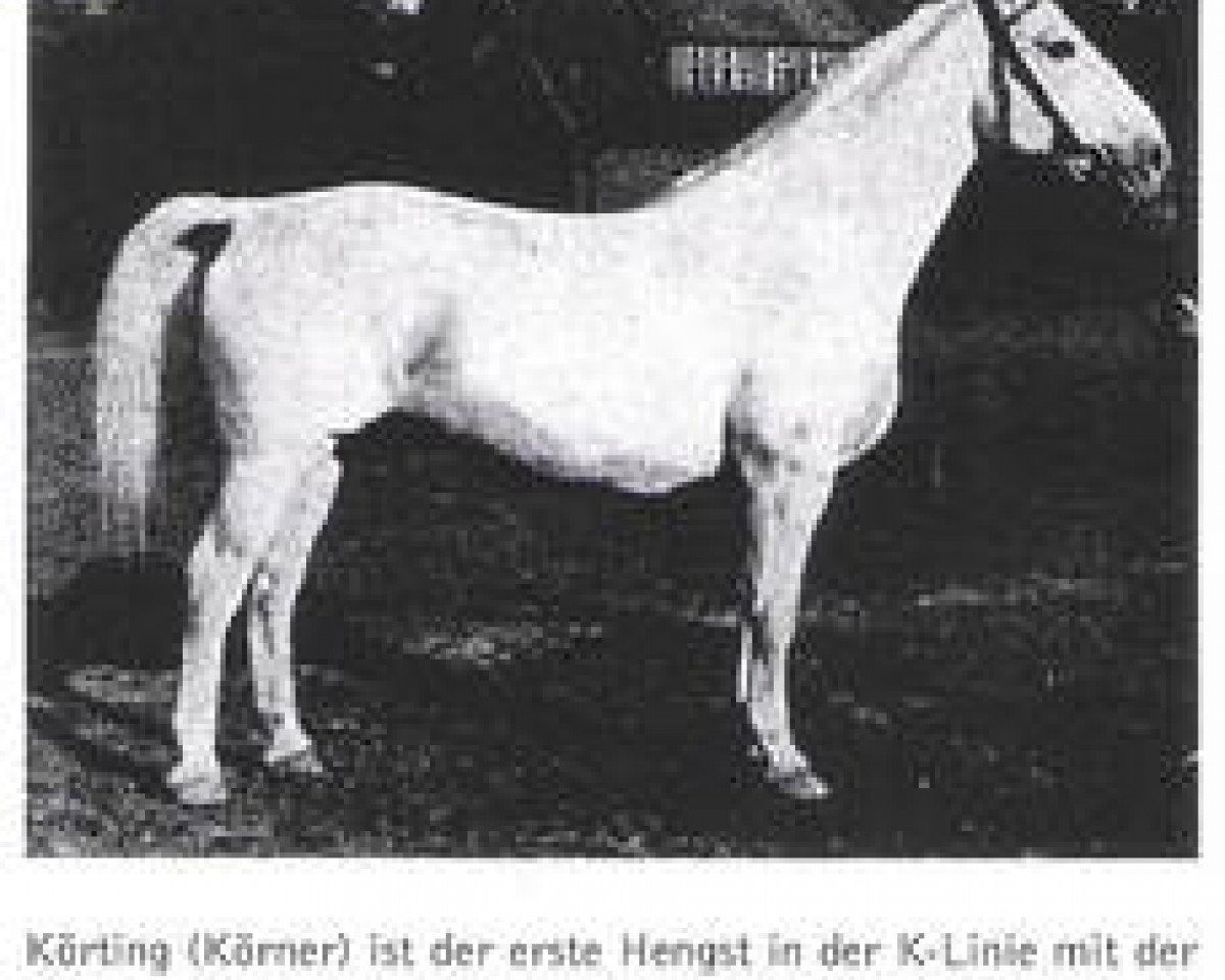 Deckhengst Körting (Hannoveraner, 1930, von Koerner)