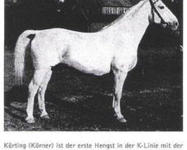 stallion Körting (Hanoverian, 1930, from Koerner)