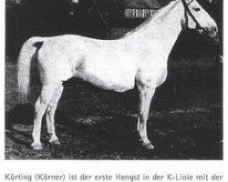 stallion Körting (Hanoverian, 1930, from Koerner)