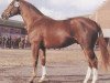 stallion Waldloewe (Hanoverian, 1975, from Waldschuetz)