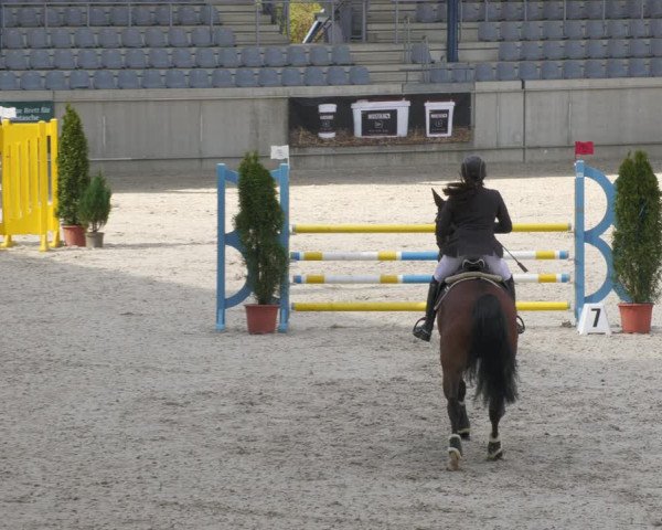 Reitturnier Aachen-Soers 2022
