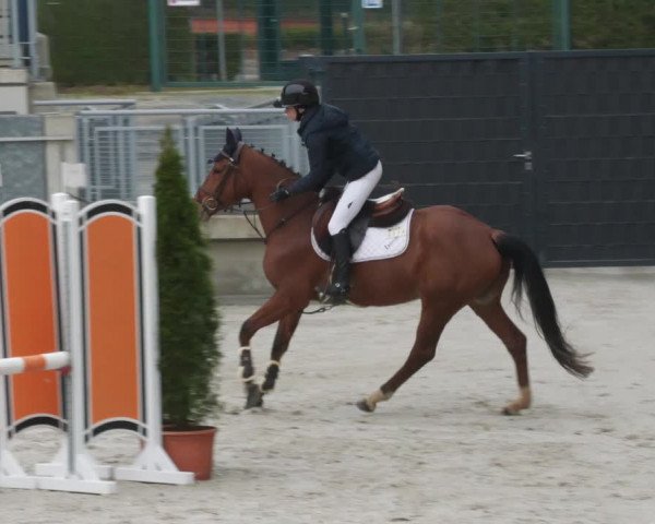 Reitturnier Aachen-Soers 2022