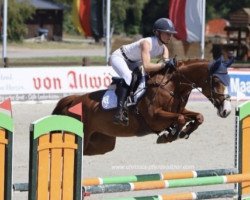 jumper Con-Couleur (Oldenburg show jumper, 2014, from Conthargos)