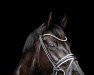 dressage horse Renoir de Laurel (Trakehner, 2011, from Laurel)