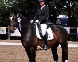 dressage horse Herzprinz (Trakehner, 2010, from Hibiskus)