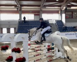 jumper Cap de Luna (German Sport Horse, 2008, from Colorit)