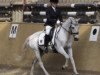 dressage horse Topnow or Never (Westphalian, 2000, from Top Nantario)