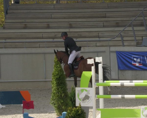 Reitturnier Aachen-Soers 2022