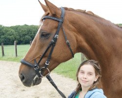 dressage horse Filou (Westphalian, 2000, from Fleurop)