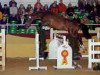stallion Colmani (Holsteiner, 2003, from Colman)