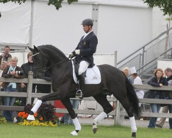 stallion Special Agent Amour (Rhinelander, 2008, from San Amour I)