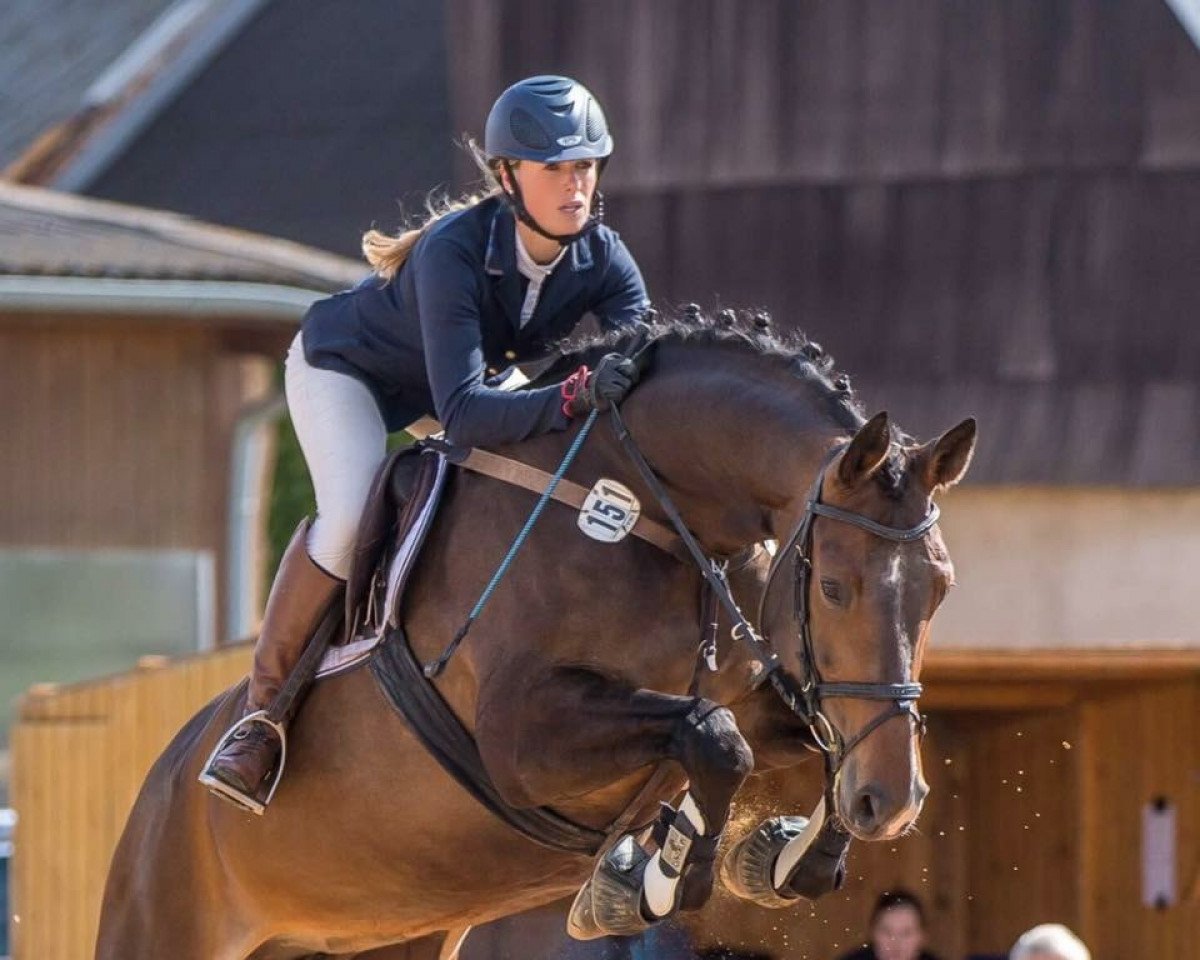 Springpferd Saphira GE (Deutsches Sportpferd, 2011, von Quintender 2)