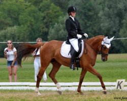 dressage horse Sally 675 (Bavarian, 2008, from Rautenstein)