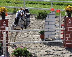 horse Mallefitz (German Riding Pony, 1998, from Marco Polo)