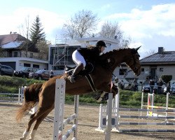 Springpferd Baloubet's Lizzy Olien Fw (KWPN (Niederländisches Warmblut), 2016, von Baloubama)