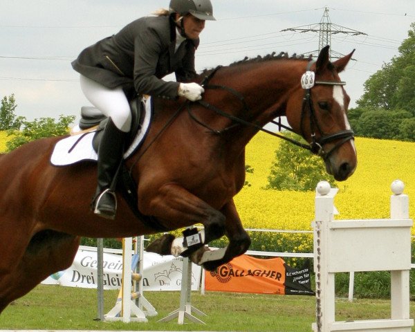 jumper Flipsyde 2 (German Sport Horse, 2007, from Ferman)