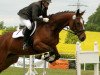 jumper Flipsyde 2 (German Sport Horse, 2007, from Ferman)