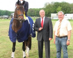 dressage horse Fürstin Romancier (Rheinländer, 2009, from Fürst Romancier)