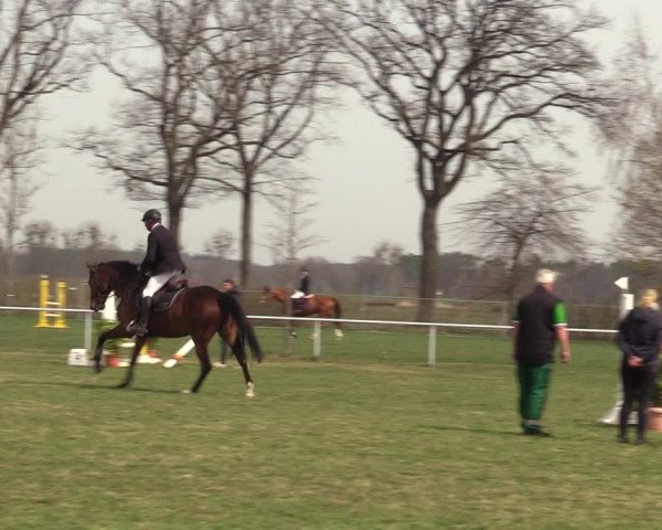 Reitturnier Großwoltersdorf 2022