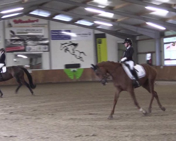 Reitturnier Dohren 2022