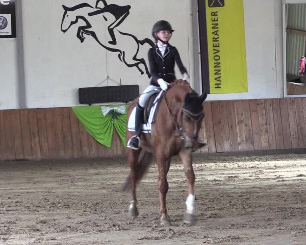 Reitturnier Dohren 2022