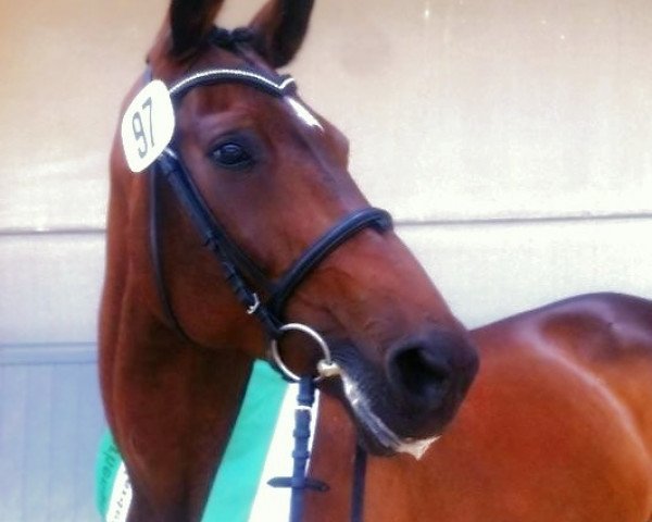 broodmare Lara (Rhinelander, 1998, from Lanciano)