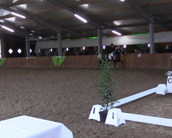 Reitturnier Dohren 2022