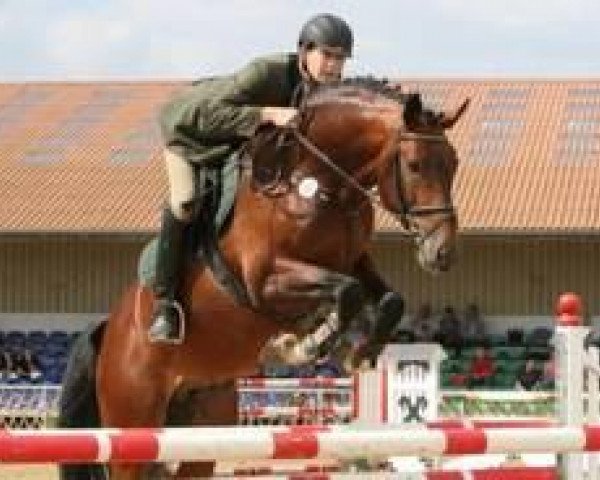 stallion Con Ferro (Mecklenburg, 2003, from Continue)