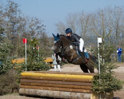 dressage horse Nouri (German Riding Pony, 2012, from Nemax)