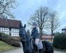 dressage horse Symphonic's Stardust (Westphalian, 2018, from Symphonic)