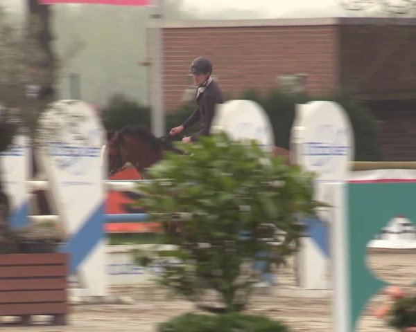 Lenklarer Reitertage 2022 (Werne)