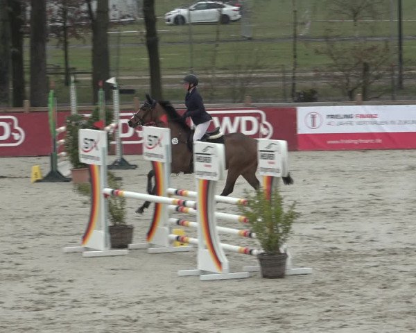 FEI Reitturnier Westergellersen (GER) 2022