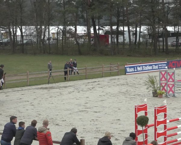 FEI Reitturnier Westergellersen (GER) 2022
