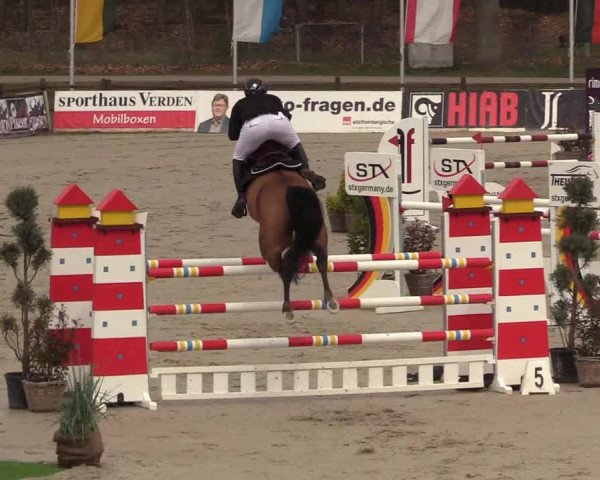 FEI Reitturnier Westergellersen (GER) 2022