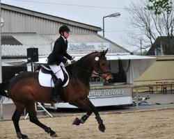 jumper Wild Lady Vera (KWPN (Royal Dutch Sporthorse), 2003, from Manhattan)