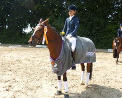 dressage horse Dariano J (German Riding Pony, 2002)