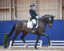 dressage horse La Santiana (Holsteiner, 2018, from Secret)