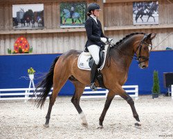 dressage horse Fernando 750 (unknown, 2017, from Feriado)