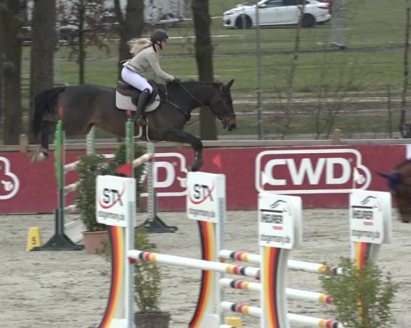 FEI Reitturnier Westergellersen (GER) 2022