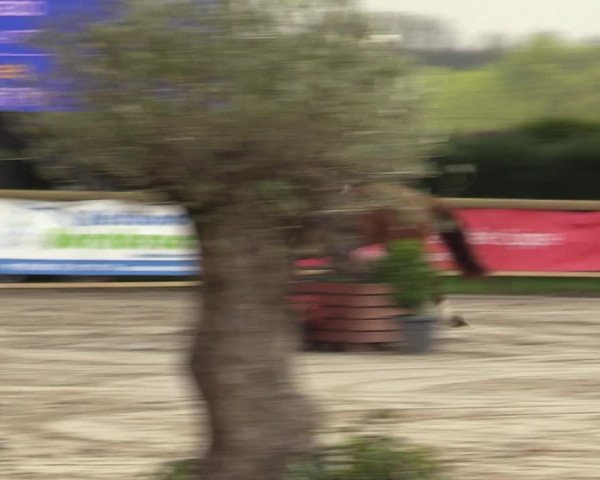 Lenklarer Reitertage 2022 (Werne)