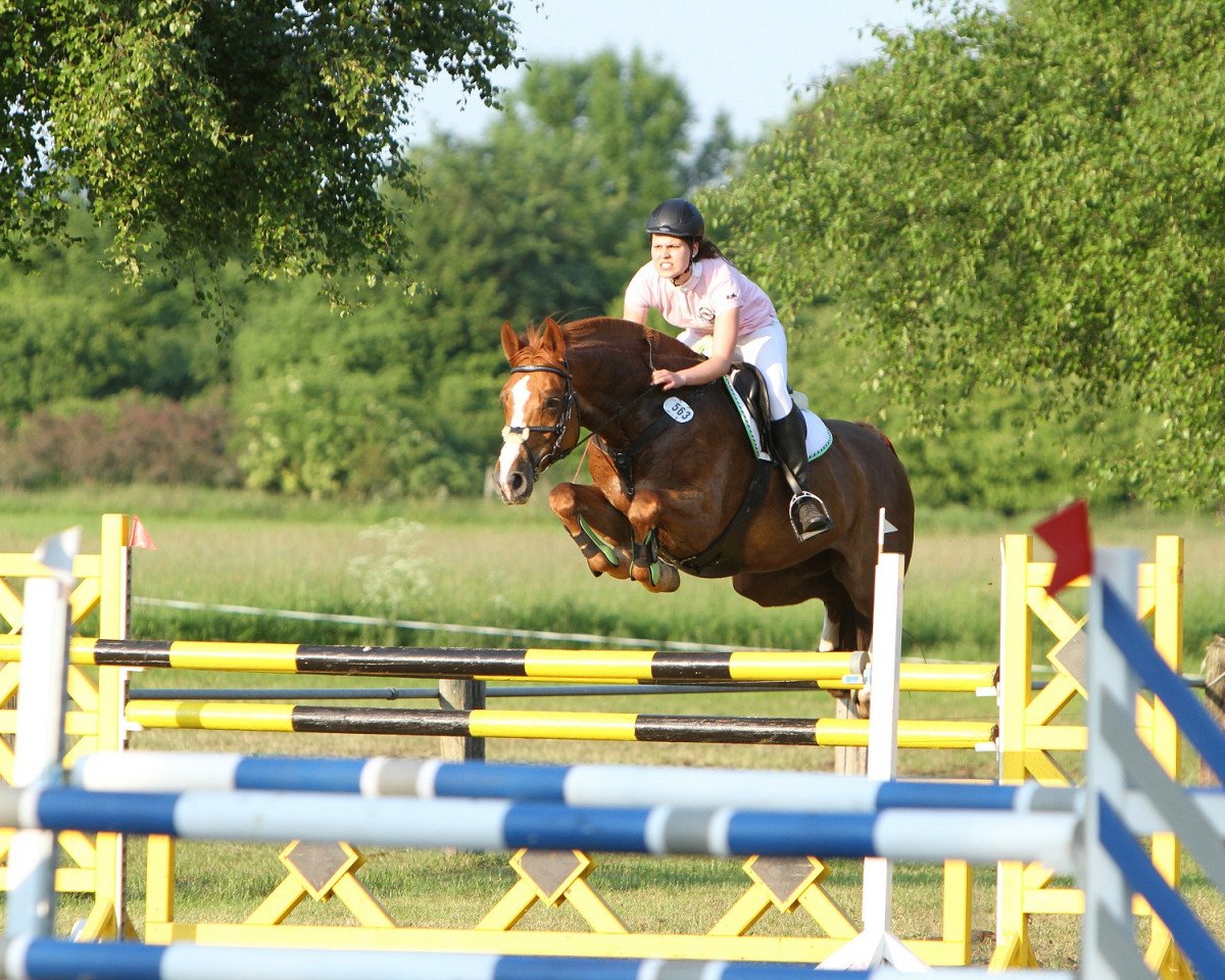 jumper Sacajawea (Oldenburg, 2005, from Silvio I)