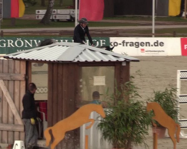 FEI Reitturnier Westergellersen (GER) 2022