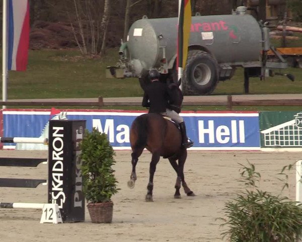 FEI Reitturnier Westergellersen (GER) 2022