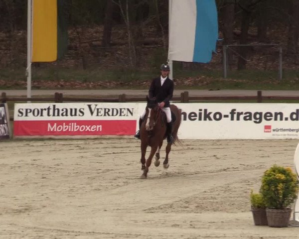 FEI Reitturnier Westergellersen (GER) 2022