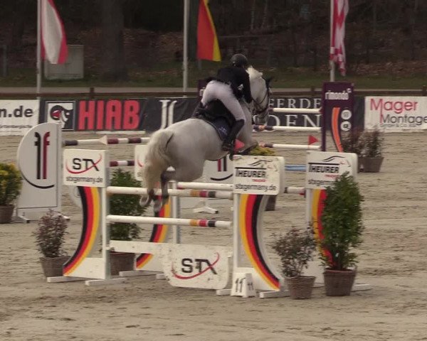 FEI Reitturnier Westergellersen (GER) 2022